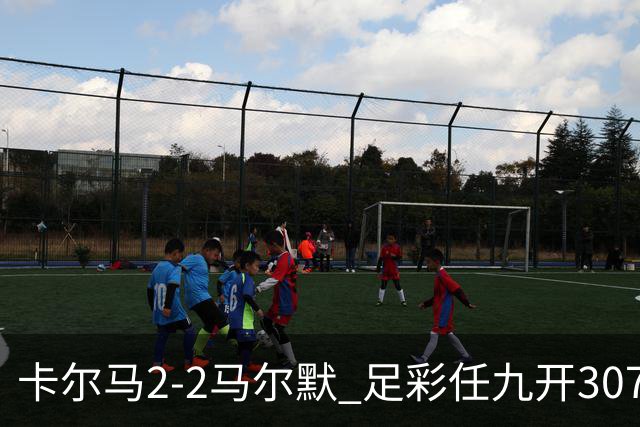卡尔马2-2马尔默 足彩任九开3071注2510元