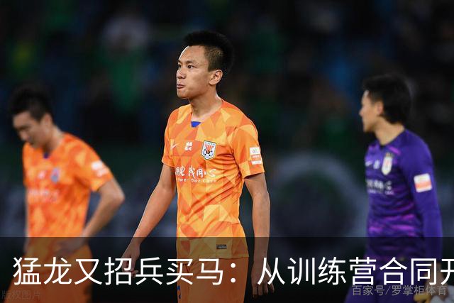 猛龙又招兵买马：从训练营合同开始的篮球新冒险
